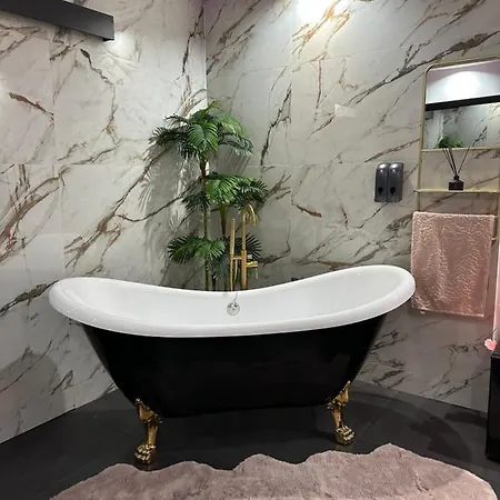 Luxury Apartment